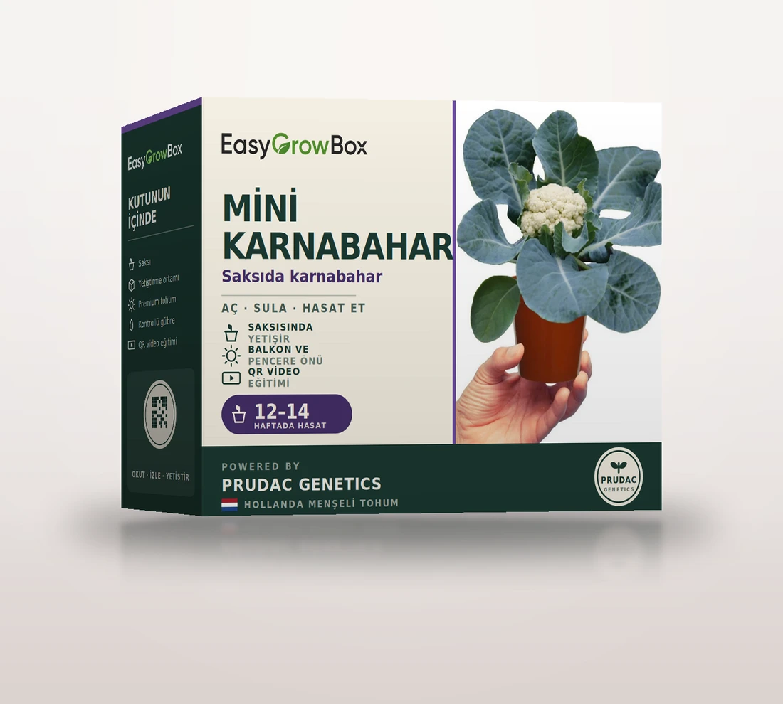 Mini Karnabahar — EasyGrow Box