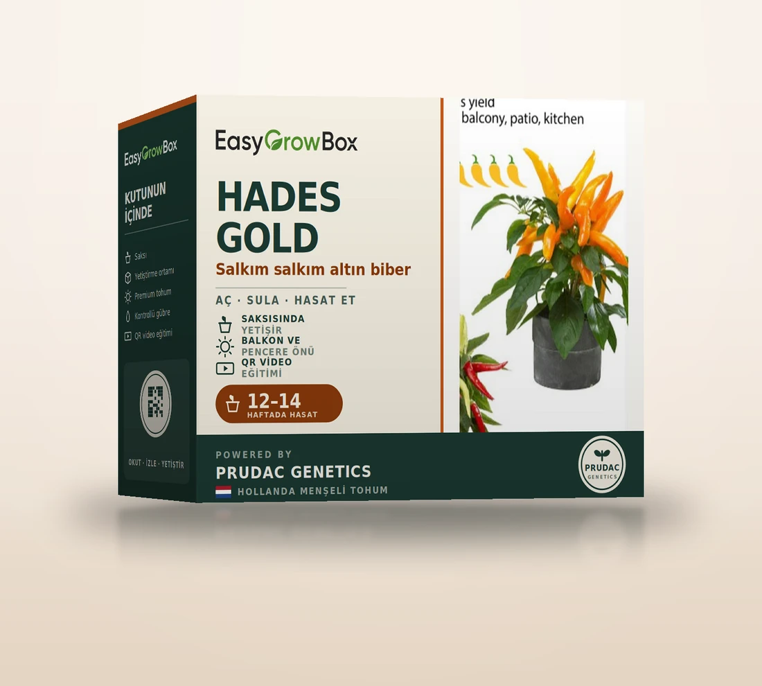Peppers from Hades Gold — EasyGrow Box