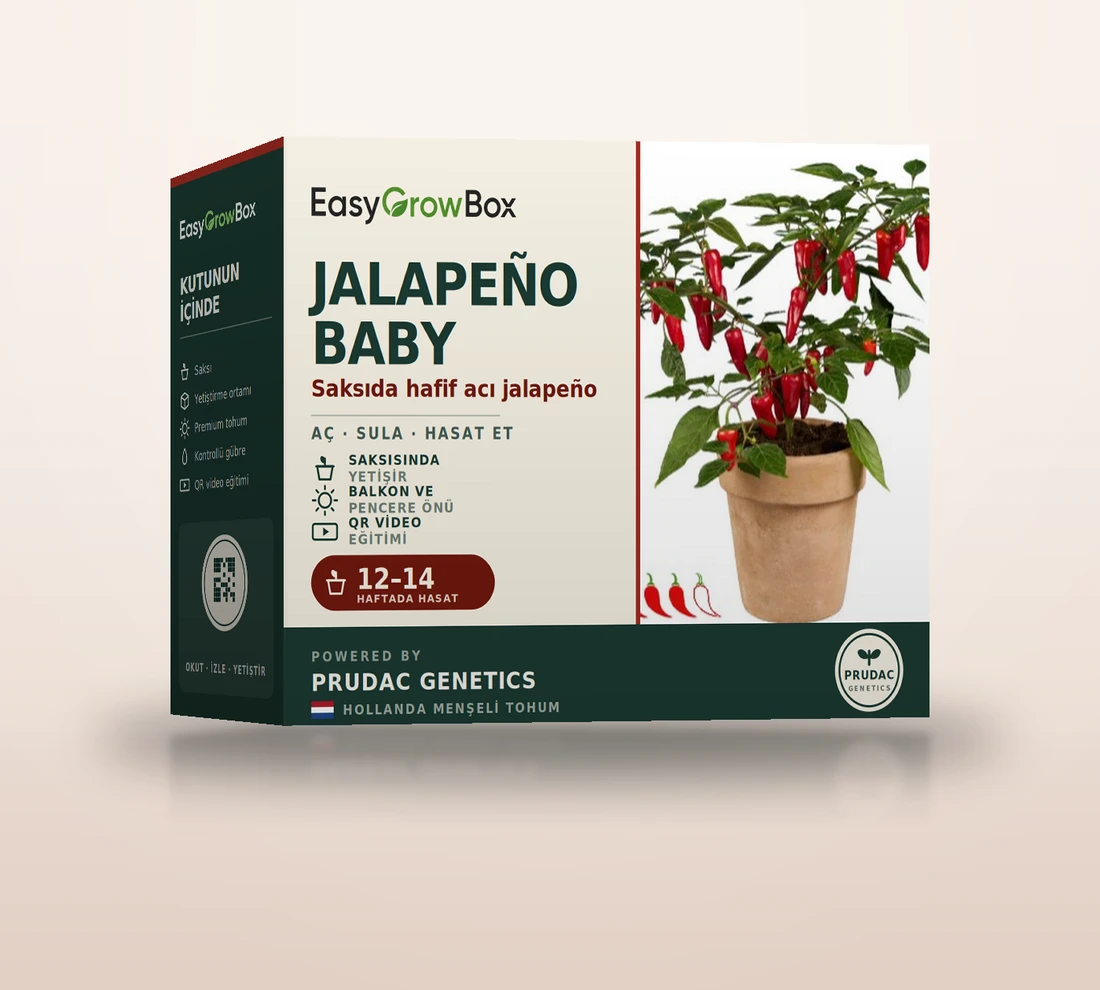Jalapeño Baby — EasyGrow Box