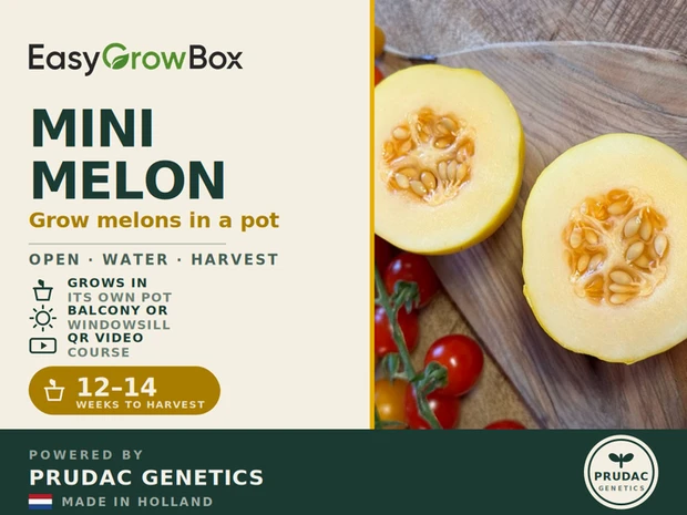 Scan the QR code on the box.