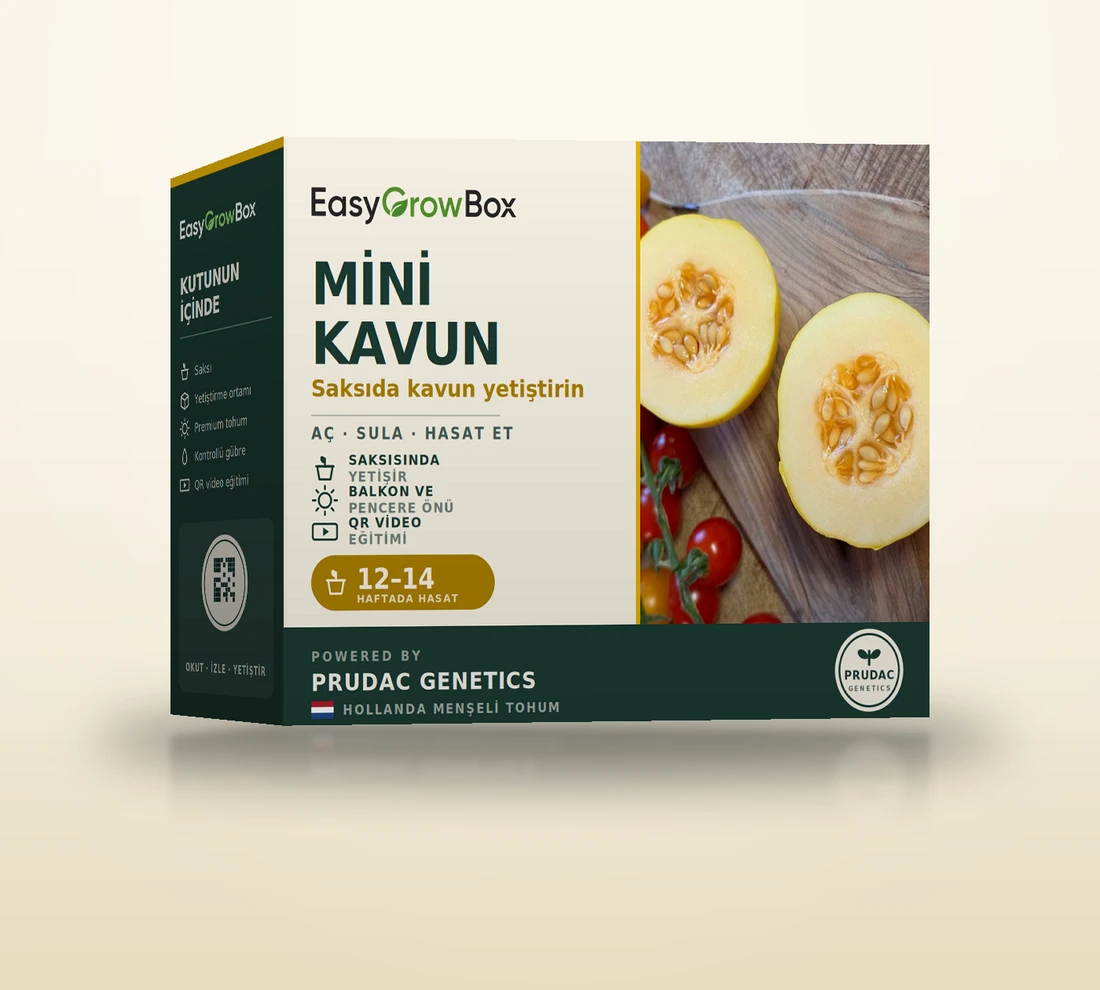 Mini Kavun — EasyGrow Box
