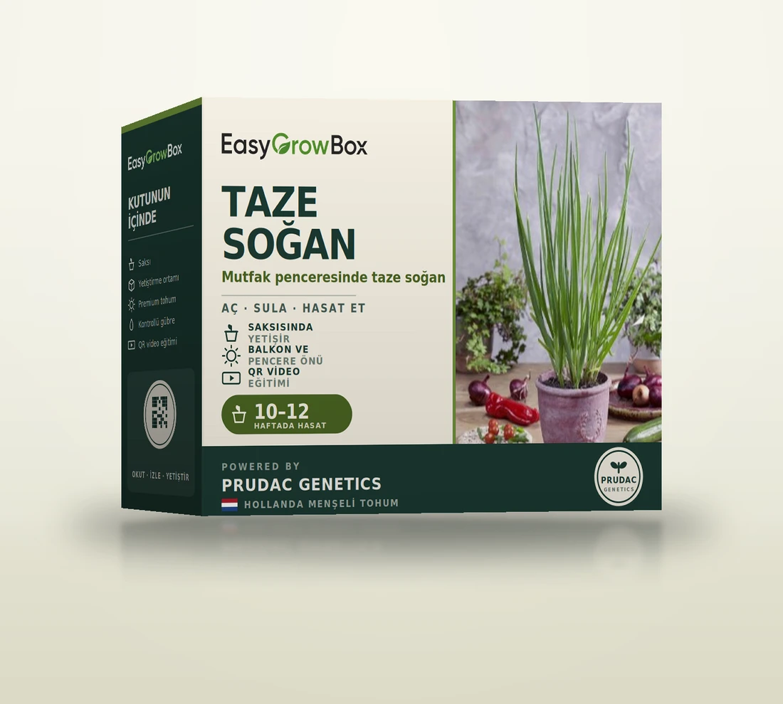 Taze Soğan Victory — EasyGrow Box
