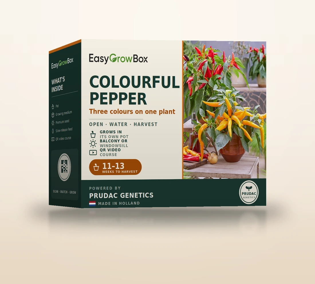 Colourful Pepper — EasyGrow Box