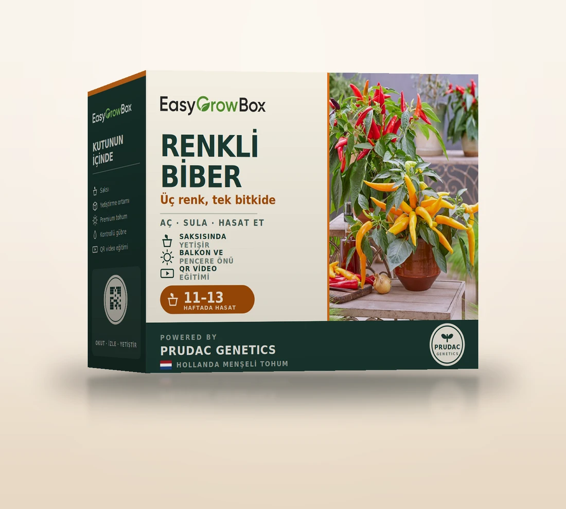 Renkli Biber — EasyGrow Box