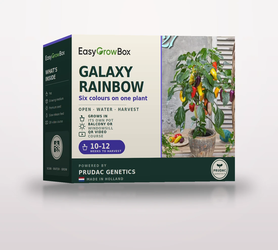 Galaxy Rainbow — EasyGrow Box