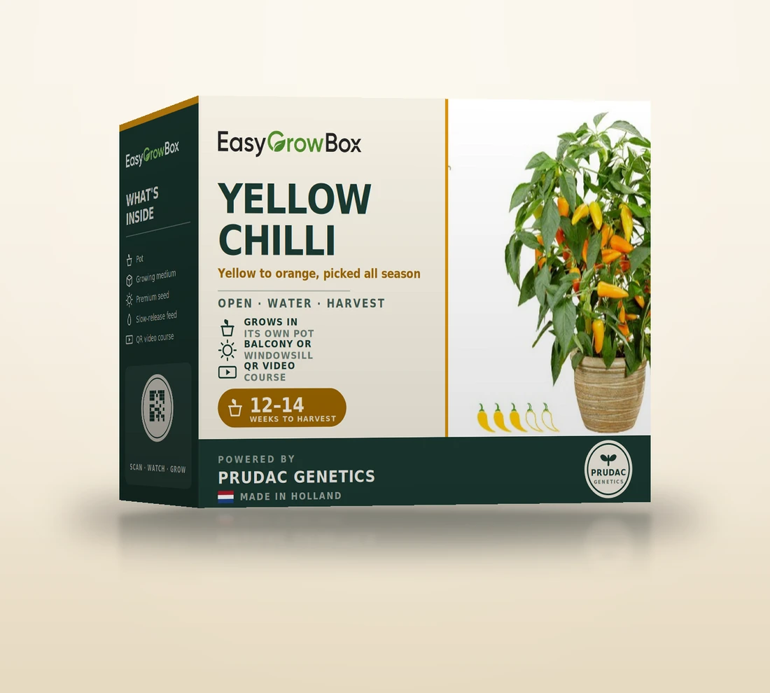 Spicy Jane Yellow — EasyGrow Box