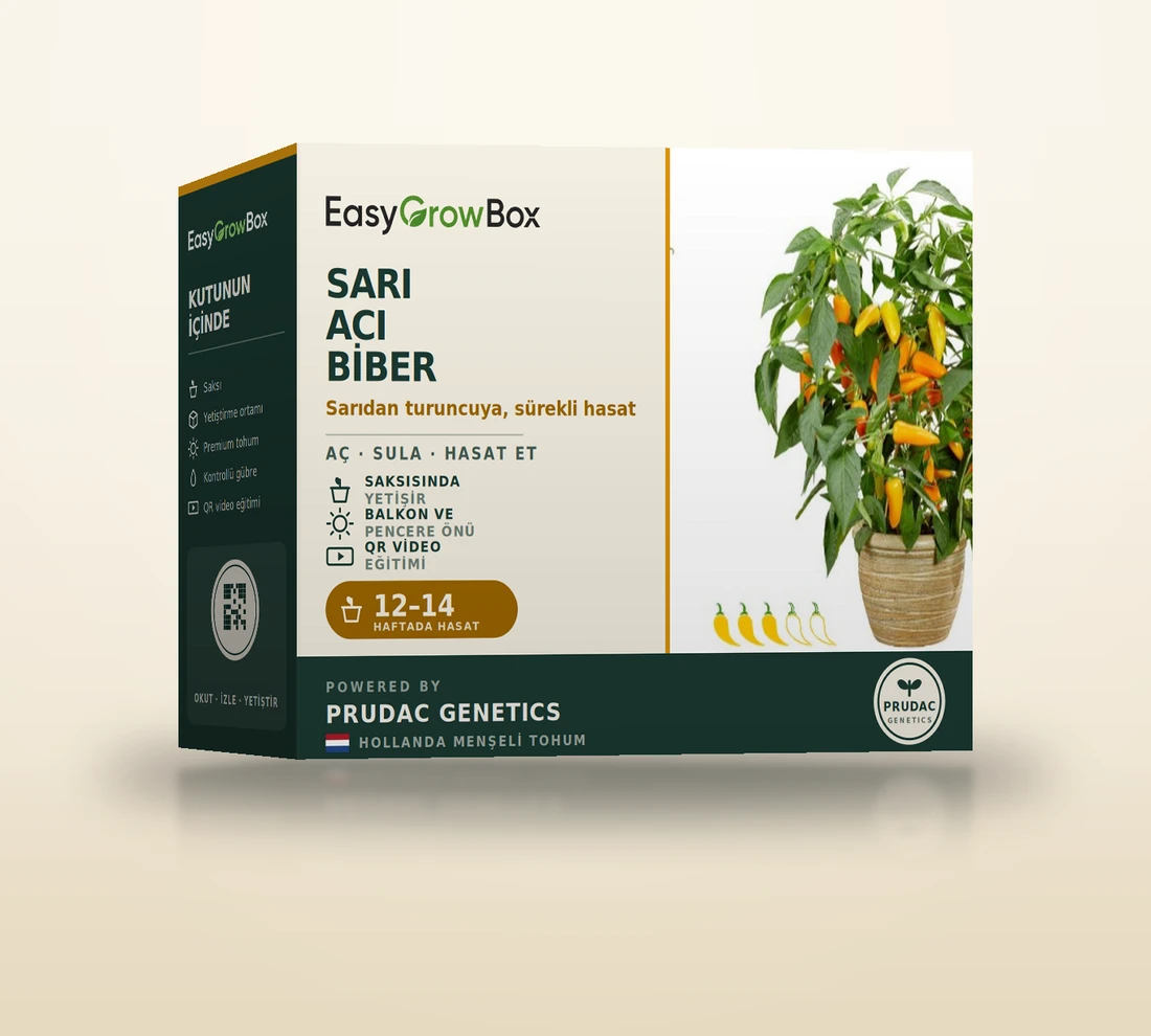 Spicy Jane Yellow — EasyGrow Box