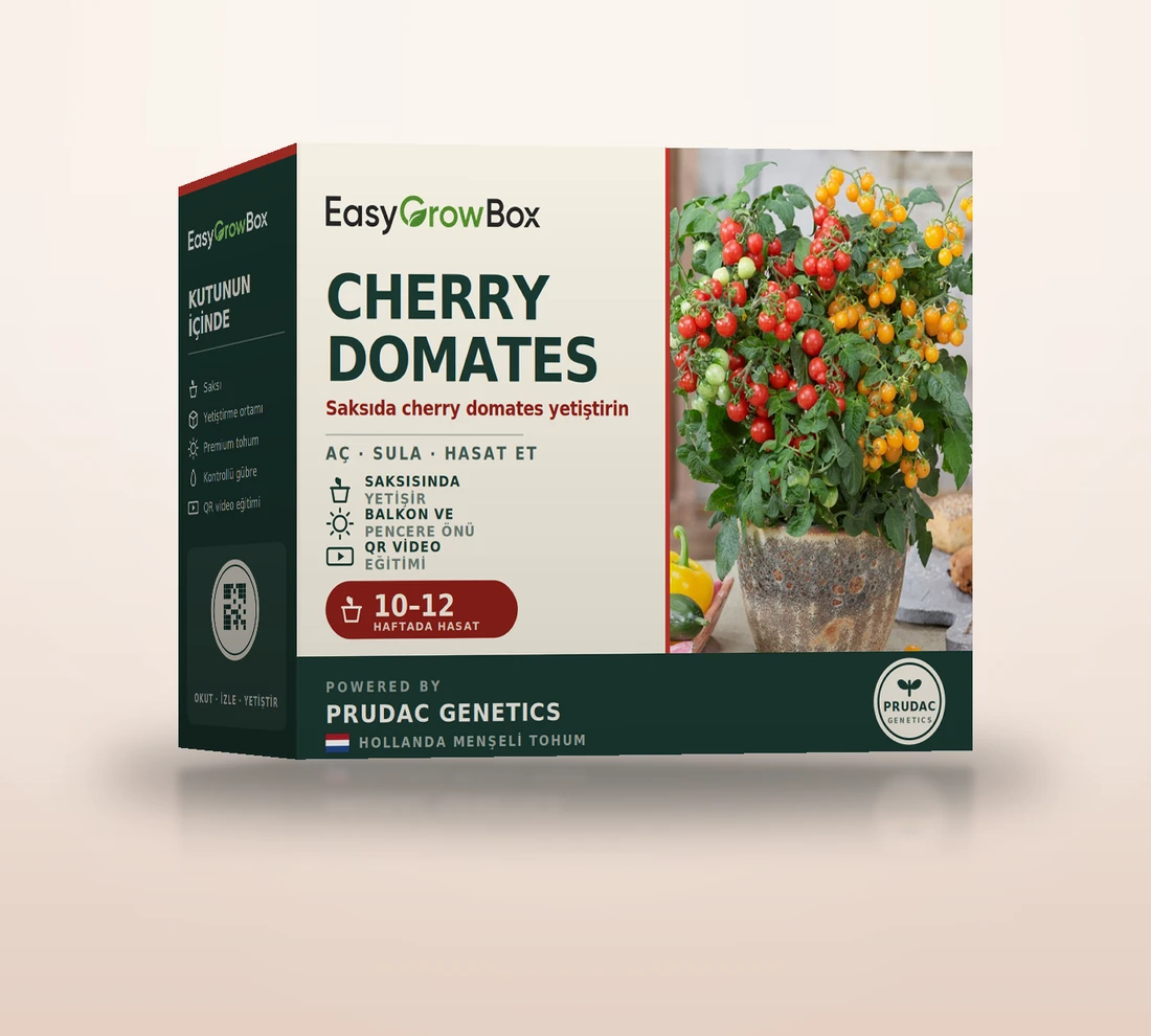 Cherry Domates — EasyGrow Box